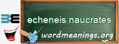 WordMeaning blackboard for echeneis naucrates